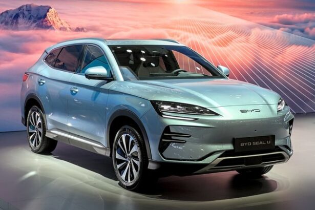 byd a reusit vanzari foarte mari in ultima luna cu ajutorul discounturilor agresive criticate masiv de concurenta asa numita cumparare de cota de piata 6847bd53ae719