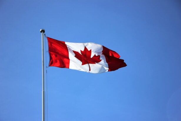 canada incearca sa potoleasca furia lui donald trump si renunta la o taxa ce viza gigantii din domeniul tehnologiei pentru a relansa negocierile comerciale 686268a5e7a0c