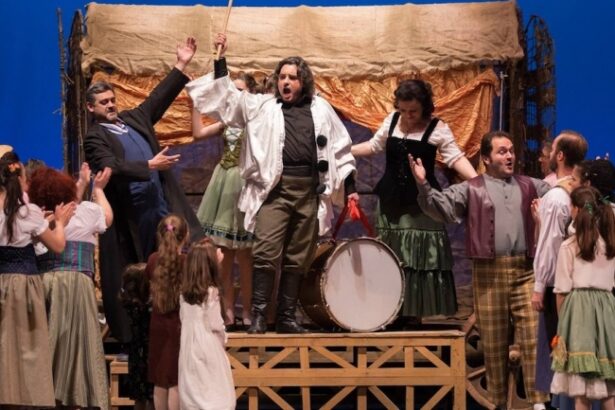 care sunt spectacolele saptamanii 9 15 iunie la teatrul national oleg danovski 6845ac7e84f47