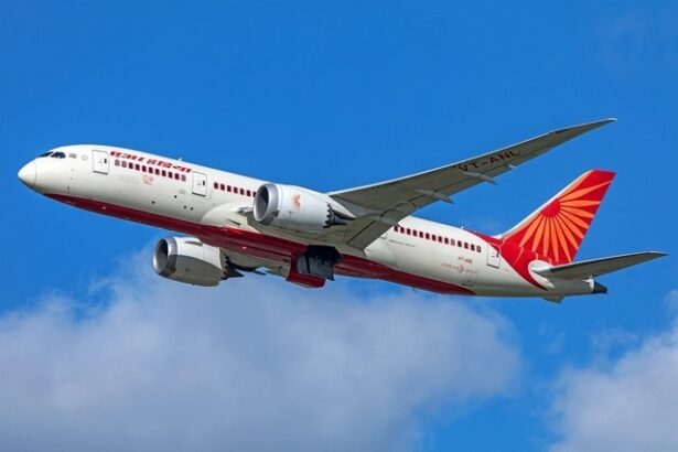 catastrofa avionului air india afecteaza grav ambitia companiei de a deveni un transportator de clasa mondiala 684bdc083d935