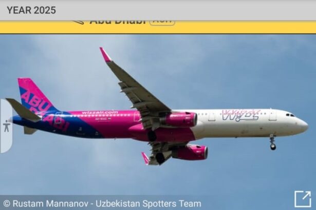 caz revoltator 120 de romani dintr un avion wizz air discriminati pe aeroport dupa ce aeronava a fost intoarsa din drum strainilor li s a oferit cazare noua nu 685bcda938b97