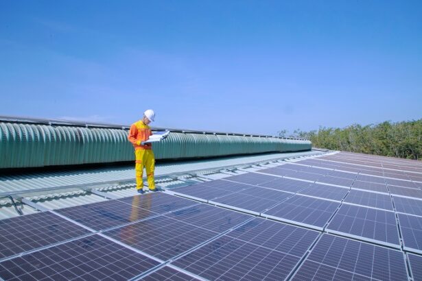 ce firma va construi parcul fotovoltaic din adamclisi contract de peste 620 000 de lei pentru energie verde 684125c26efd5