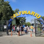 cjc a lansat licitatia pentru dotarea extinderii delfinariului 684222e3247a9