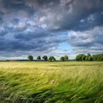 cod galben de vant puternic in moldova sudul banatului si in vestul si sudul olteniei 685fa96477477