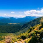 comisia europeana romania are termen doua luni sa ia masurile necesare pentru a si proteja si gestiona siturile natura 2000 6852e3e130a43