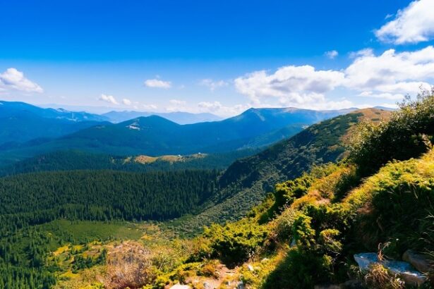 comisia europeana romania are termen doua luni sa ia masurile necesare pentru a si proteja si gestiona siturile natura 2000 6852e3e130a43