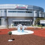 constanta delfinariul se redeschide dupa finalizarea lucrarilor de modernizare a bazinelor spectacolele vor fi reluate de duminica inclusiv cu delfini din ucraina 684d5b27bf4a9