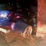 Constanța: Autoturism intrat într-un copac pe bulevardul Ferdinand 2 constanta un autoturism a intrat intr un copac pe bulevardul ferdinand 6862e39f5afc1
