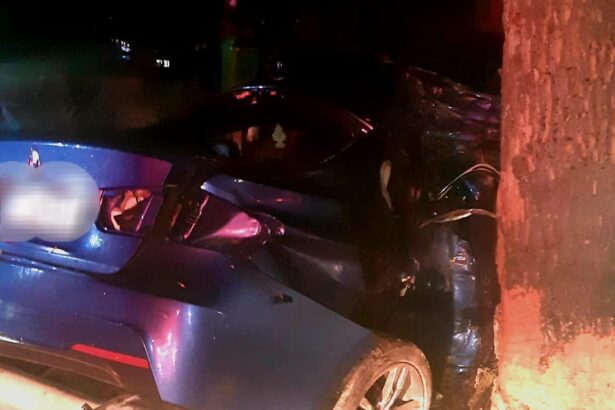 constanta un autoturism a intrat intr un copac pe bulevardul ferdinand 6862e39f5afc1