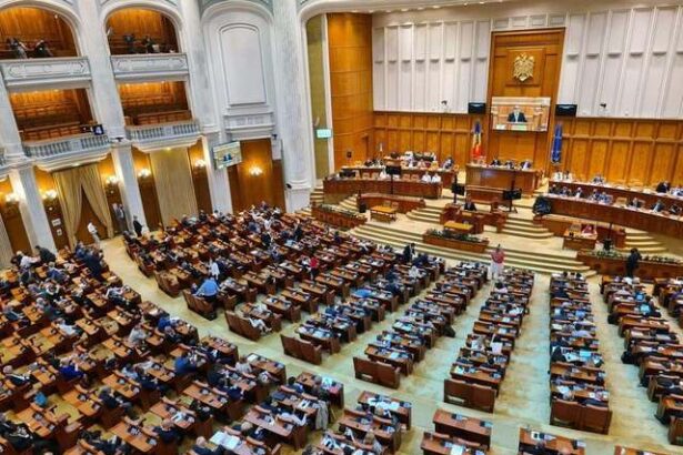 decizie partidele vor interzice intrarea in parlament a anumitor persoane registru oficial cu cei interzisi 6862aed9833b1