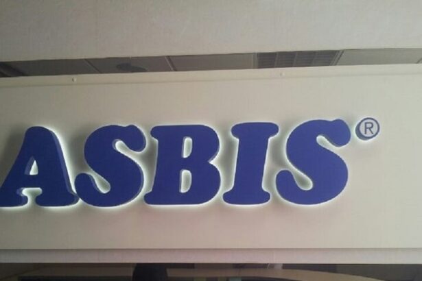 distribuitorul asbis in 2024 avans marginal al afacerilor profit net in scadere 685e26dabfb0a