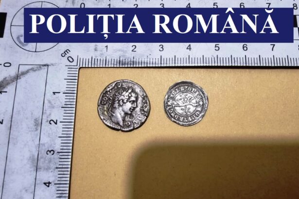 doi cetateni straini prinsi in romania cu 500 de monede nedeclarate in bagaje urmau sa plece spre dubai cu comoara 683c45bc0ff9b