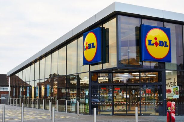 doua femei prinse la iesirea din lidl ca le a crescut talia in timp ce erau la cumparaturi 68534626c5f03