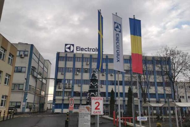 electrolux in romania cele mai bune cifre din ultimul deceniu romania are toate atuurile de a se transforma intr un hub important electrolux isi propune sa accelereze ritmul de crestere 685c6bce72a1f