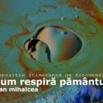expozitie de fotografie a regizorului dan mihalcea la delfinariu 684f5ad23a10a