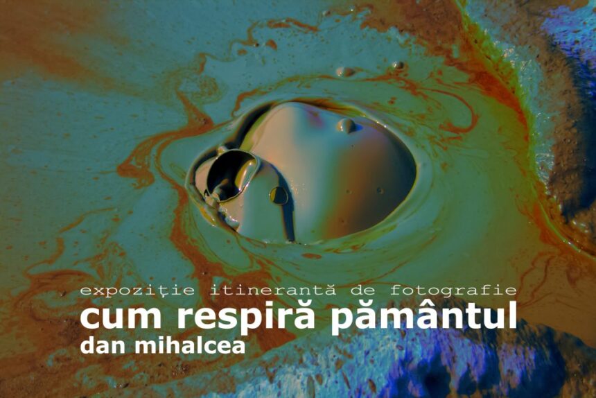 expozitie de fotografie a regizorului dan mihalcea la delfinariu 684f5ad23a10a