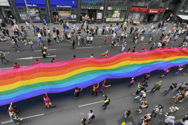 extrema dreapta foloseste drepturile lgbtq ca arma in europa pentru a semana disensiune spun activistii 683c4b1b67d8f