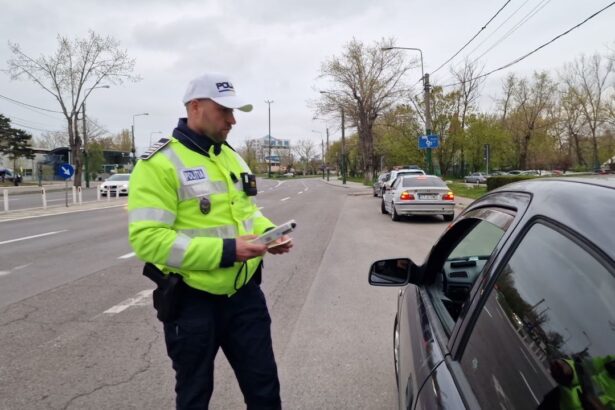 femeie prinsa fara permis la medgidia si sofer baut depistat la valu lui traian politistii au deschis dosare penale 684ecfd510122