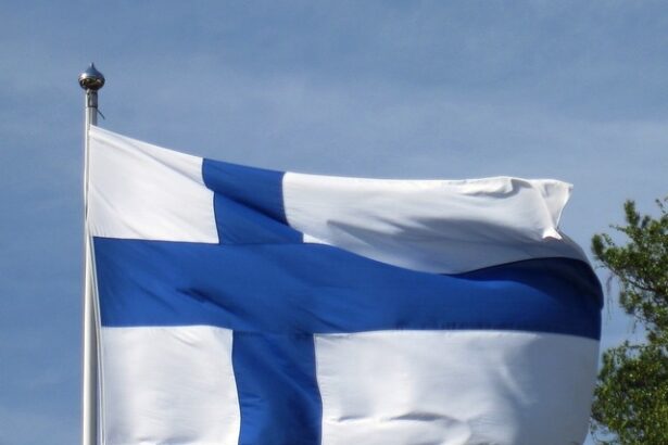 finlanda inchide cu o bariera alt tronson al frontierei cu rusia 685bdf24a0323
