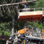foto circulatia trenurilor intre sinaia busteni reluata dupa ce un copac a cazut pe linia de contact 2 106 minute de intarziere cumulate 686226832f399