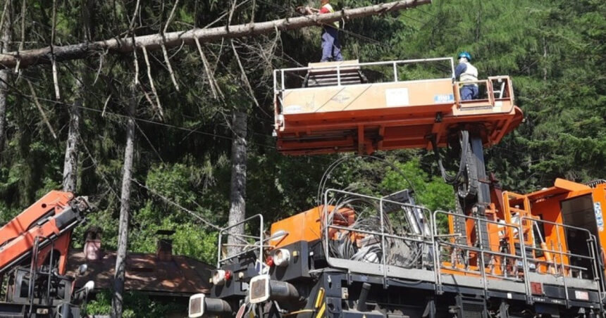 Circulația trenurilor între Sinaia și Bușteni a fost reluată după ce un copac a căzut pe linia de contact, cu întârzieri cumulate de 2.106 minute. 1 foto circulatia trenurilor intre sinaia busteni reluata dupa ce un copac a cazut pe linia de contact 2 106 minute de intarziere cumulate 686226832f399