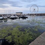 foto constanta relaxare cu priveliste la alge si pet uri aruncate in mare imagine dezolanta intalnita de constanteni si turisti in portul tomis 684e6d6418a04