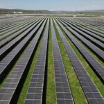 foto danezii de la eurowind energy investesc in romania peste 174 milioane euro in dezvoltarea unui nou parc fotovoltaic va deveni cel mai mare din portofoliul local al companiei 685badd7d3da4