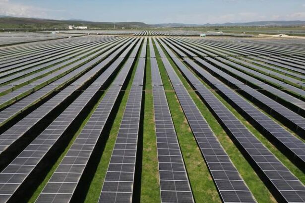 foto danezii de la eurowind energy investesc in romania peste 174 milioane euro in dezvoltarea unui nou parc fotovoltaic va deveni cel mai mare din portofoliul local al companiei 685badd7d3da4