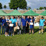 foto ei sunt castigatorii competitiei de kures de la medgidia zeci de tineri au participat la traditionalele lupte tataresti 6857a17e7d97f