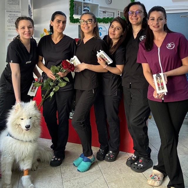 PartnerVet, sprijinit de D Craig Holding și Vetimex Capital, continuă extinderea operațiunilor prin preluarea unei clinici de stomatologie veterinară 1 foto partnervet sprijinit de d craig holding si de vetimex capital continua extinderea operatiunilor si preia o clinica de stomatologie veterinara 685cedd1c0047