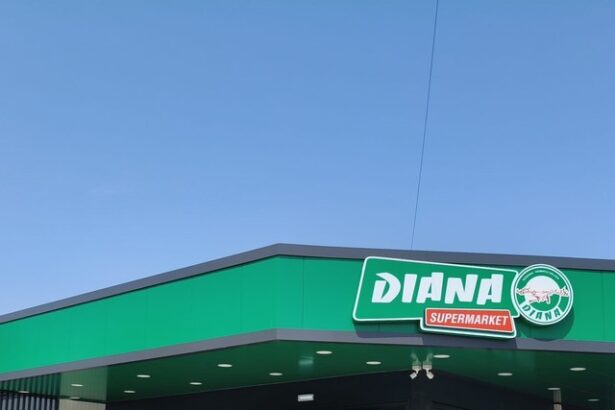 foto reteaua de magazine diana a ajuns la 90 de unitati 6842eb48da46a