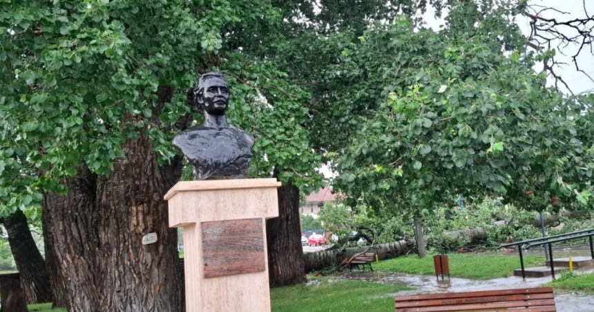 foto unul dintre copacii care l au inspirat pe mihai eminescu a cazut in iasi interventie de urgenta a isu 6849aed7ed0b2