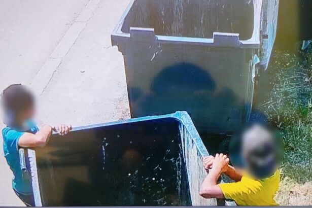 foto video camere de supraveghere din constanta vandalizate de doi minori au fost identificati cu imaginile de pe o alta camera 684435c677833