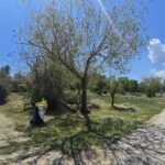 foto video cum arata acum zona din parcul tabacarie in care s a spanzurat tanarul de 16 ani oamenii au scormonit in tomberonul de gunoi 683ecc9b72bf2