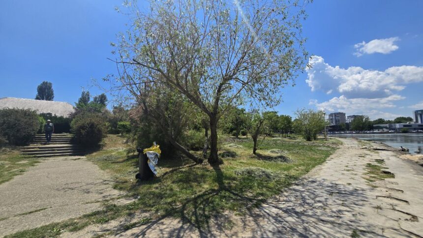 Cum arată acum zona din Parcul Tăbăcărie în care s-a spânzurat tânărul de 16 ani. Oamenii au scormonit în tomberonul de gunoi. 1 foto video cum arata acum zona din parcul tabacarie in care s a spanzurat tanarul de 16 ani oamenii au scormonit in tomberonul de gunoi 683ecc9b72bf2