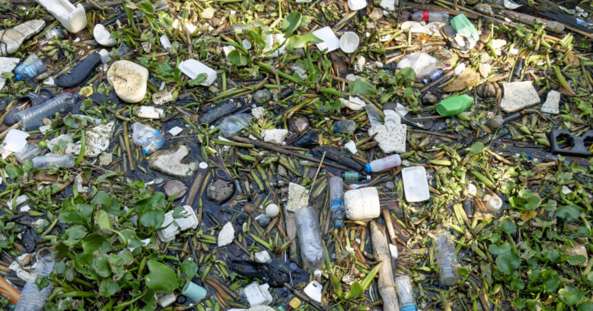 garda de mediu a controlat aproape toate localitatile din tara gradul de reciclare a deseurilor a scazut in loc sa creasca 6853a72e2750b