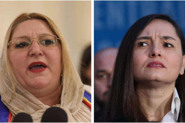 gavrila o lauda pe sosoaca pentru ca a exclus parlamentari sos care au intrat in alianta intai romania 6856cfc7d5279