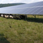 grafice de ce produc prosumatorii mai multa energie decat marile parcuri comerciale desi au capacitati instalate similare 683e82fbe1bdc
