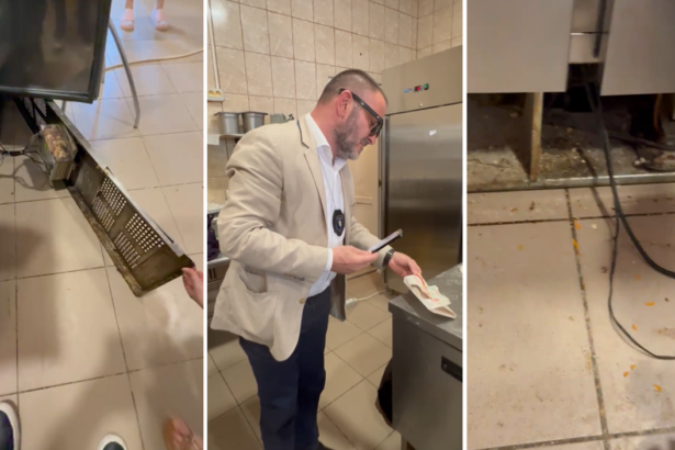 grasime arsa insecte si pericol de contaminare patiseria dacia din constanta in vizorul protectiei consumatorilor 684c17c5d3c9c