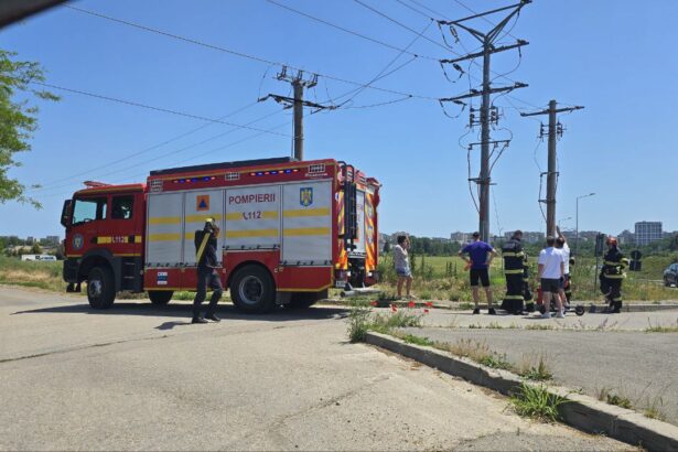 incendiu de vegetatie la iesirea din constanta in zona dn2a soferii au intervenit cu extinctoare pana la sosirea pompierilor 68401e188e0b2