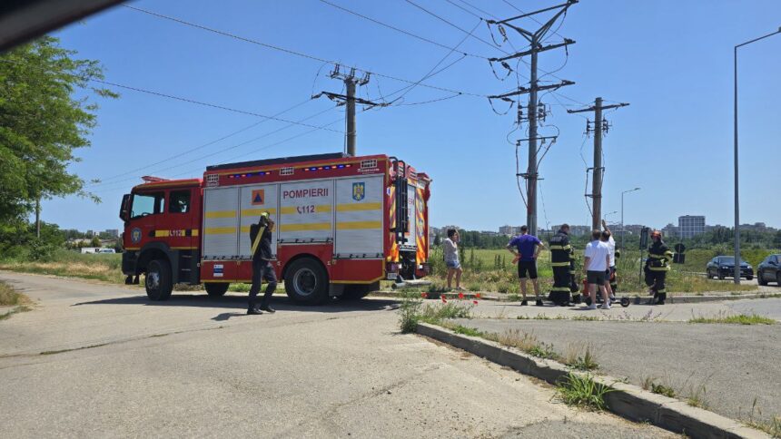 incendiu de vegetatie la iesirea din constanta in zona dn2a soferii au intervenit cu extinctoare pana la sosirea pompierilor 68401e188e0b2