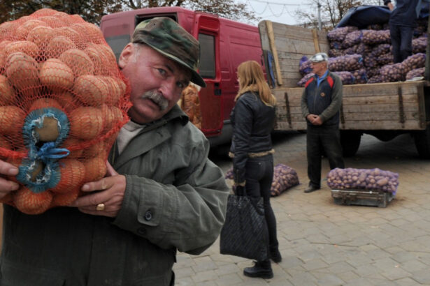 mafia cartofilor starneste furie in belarus cum a declansat lukasenko o criza agricola de care profita rusia 685e38e21fdc4