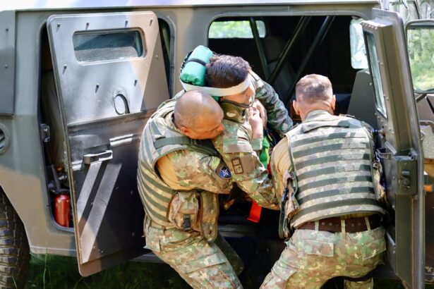 mii de militari participa exercitiul multinational saber guardian 25 printre poligoanele alese babadag judetul tulcea 6846b236307fd
