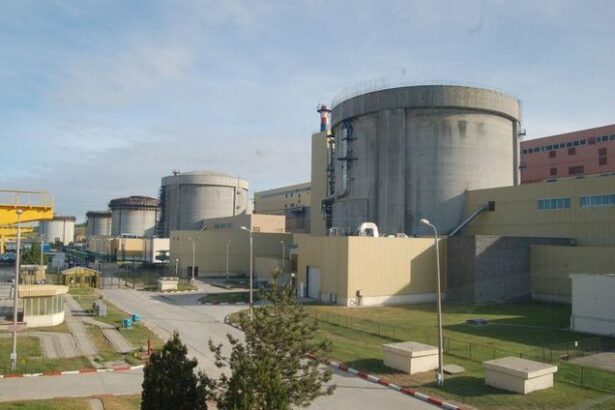 ministru un singur reactor nuclear de la cernavoda acopera astazi 10 din consumul de electricitate al romaniei vom deveni un pilon pentru securitatea energetica a regiunii 685d9da522362