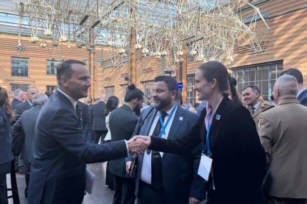 ministrul de externe oana toiu a participat la consiliul nato ucraina avem o misiune importanta de indeplinit impreuna 685b93b4de73e