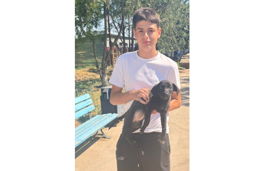 Minnie, o cățelușă de patru luni din adăpostul public din Constanța, și-a găsit o nouă familie. 1 minnie o catelusa de patru luni din adapostul public din constanta si a gasit o noua familie 68624574c1c47