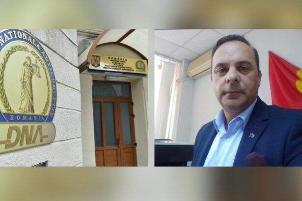 motivare dupa condamnare iata de ce a luat cu suspendare mitica tuchila fostul sef al dsv tulcea sincer educat si integrat in societate 684ceaab8c794