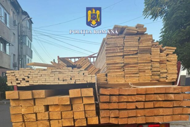 murfatlar sofer amendat pentru nerespectarea dispozitiilor codului silvic vezi ce spun politistii 685fc98b12b08