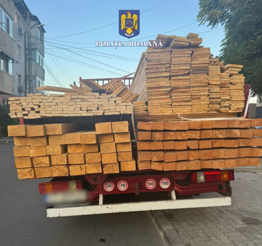 murfatlar sofer amendat pentru nerespectarea dispozitiilor codului silvic vezi ce spun politistii 685fc98b12b08