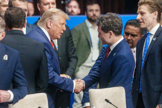 news alert nicusor dan declaratie de la summitul nato am reafirmat sprijinul pentru ucraina ce a discutat cu donald trump 685c00ae4f3e0